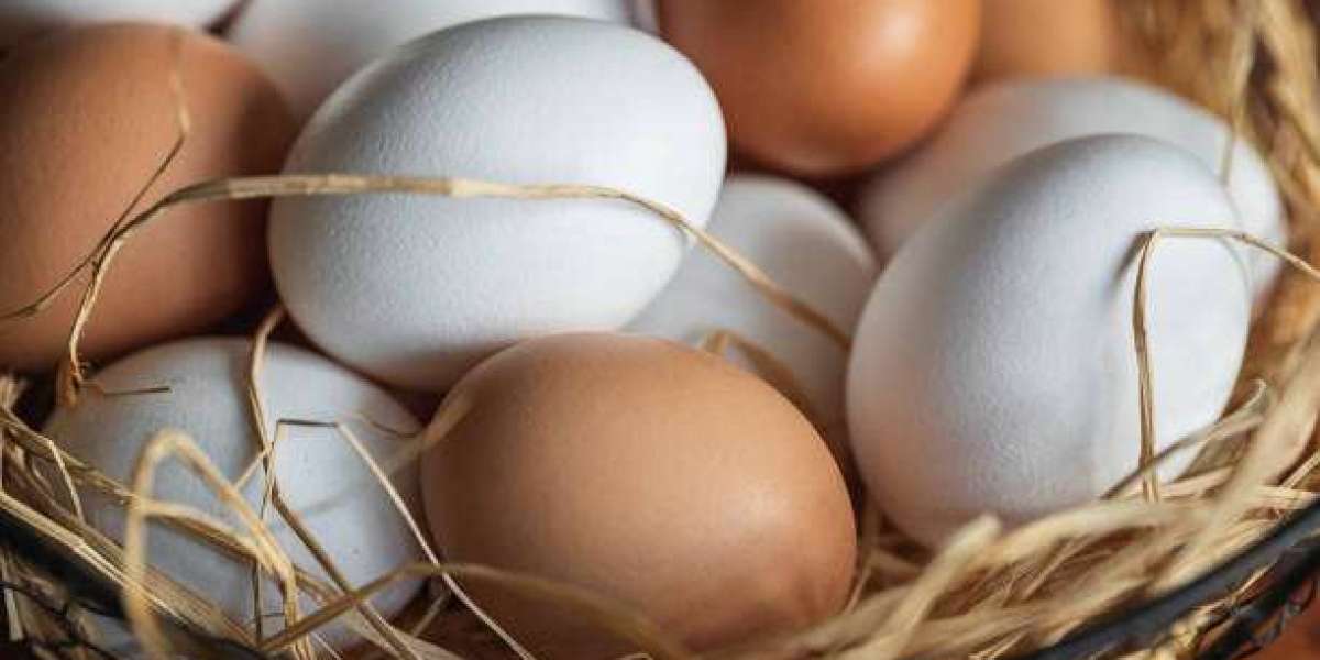 Retail Strategies Powering Organic Egg Sales