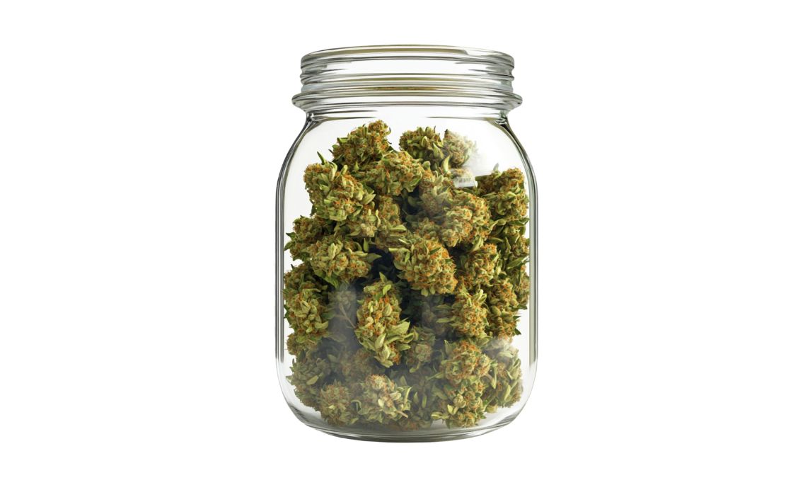 Wholesale Cannabis vs Budget Buds: What’s the Difference