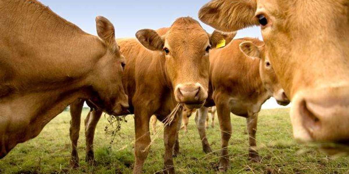 What Legal Protections Do Farmers Have Problems With Here's A Quick Solution