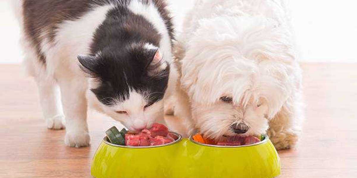 Fresh Pet Food Market Opportunities in Emerging Economies