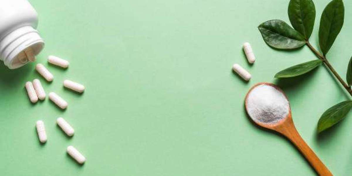 Hydrolyzed Plant Protein Market Insights for Ingredient Manufacturers