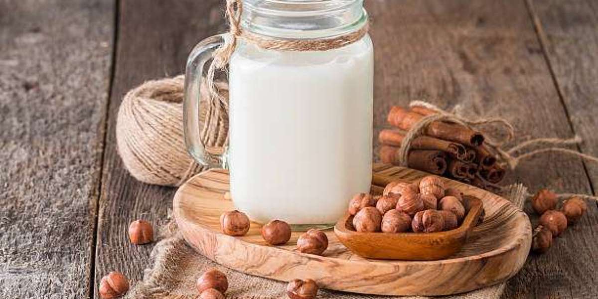 Regulatory Environment and the Hazelnut Milk Industry