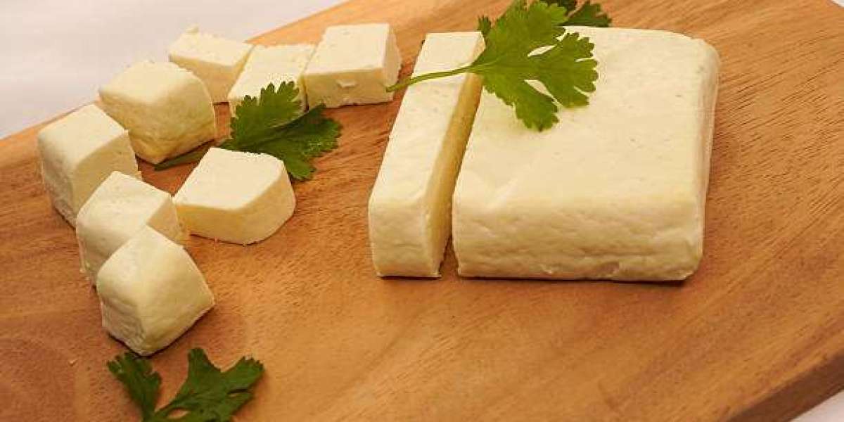 Business Strategies Accelerating Soy Protein Ingredients Adoption