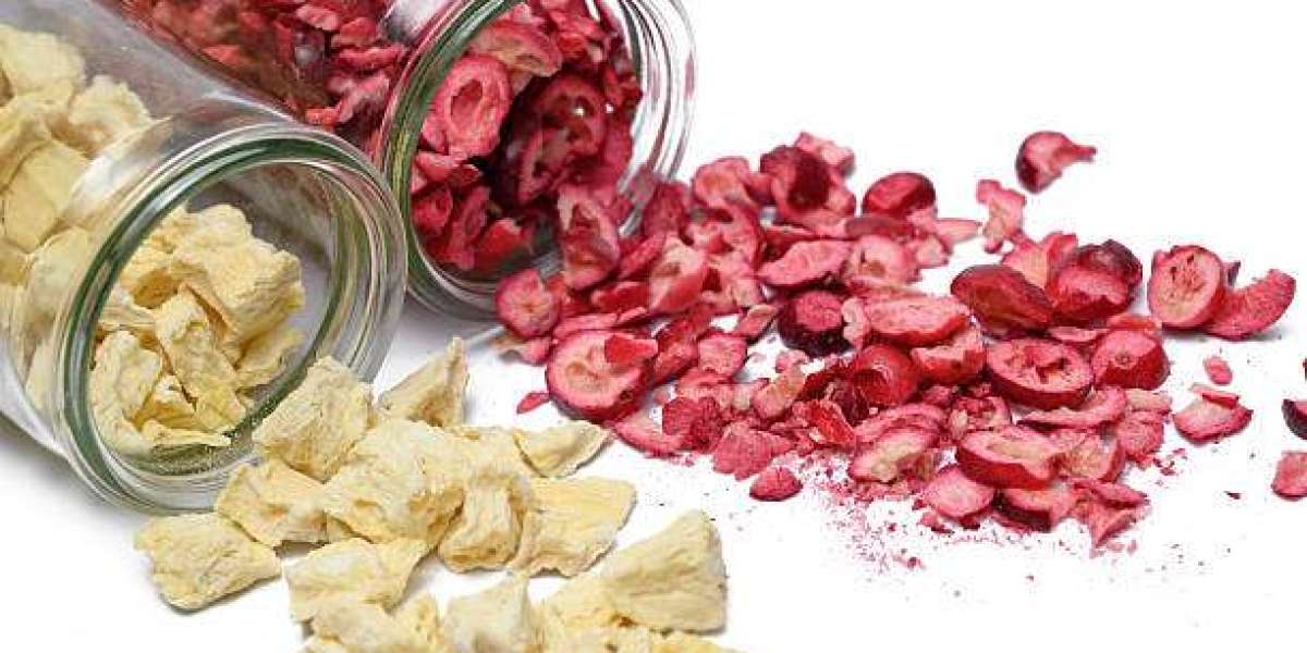Future Opportunities Within the Freeze Dried Fruit Powder Market