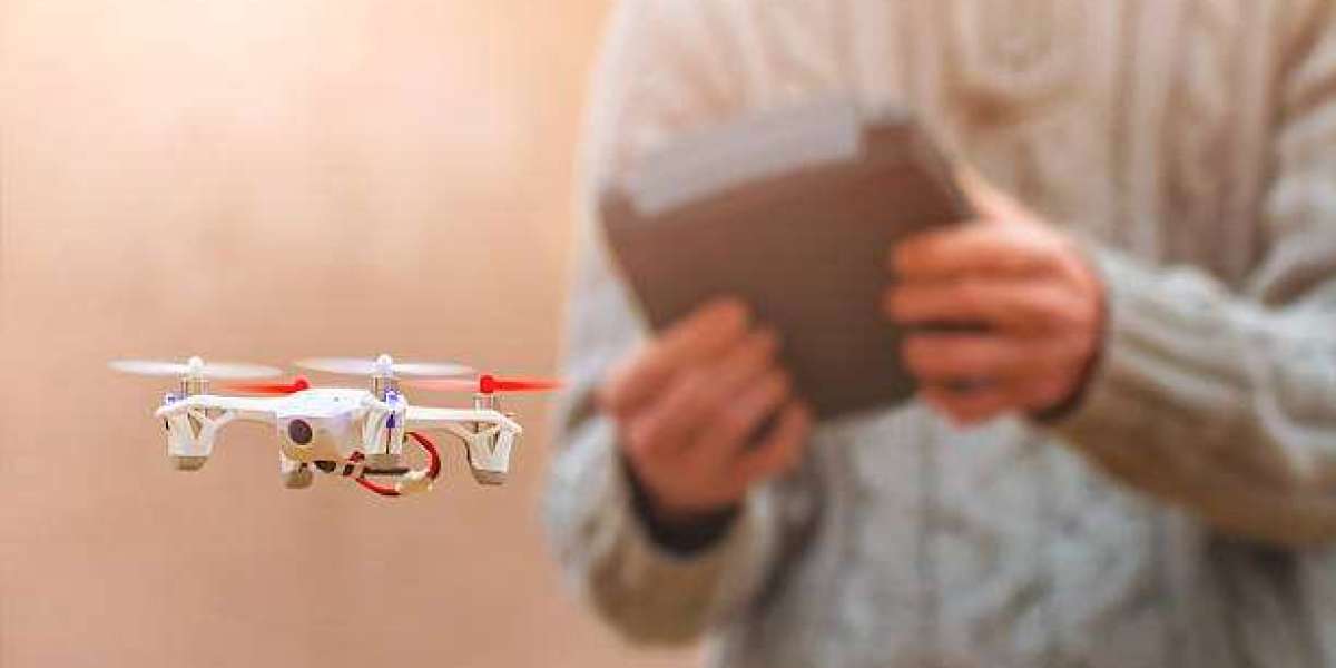 Future Investment Strategies in the Small UAV Market