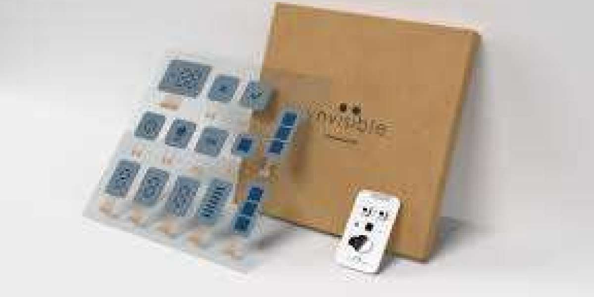 The Evolution of Electronic Paper Technology and its Transformative Impact on the Global E-Paper Display Market Landscap