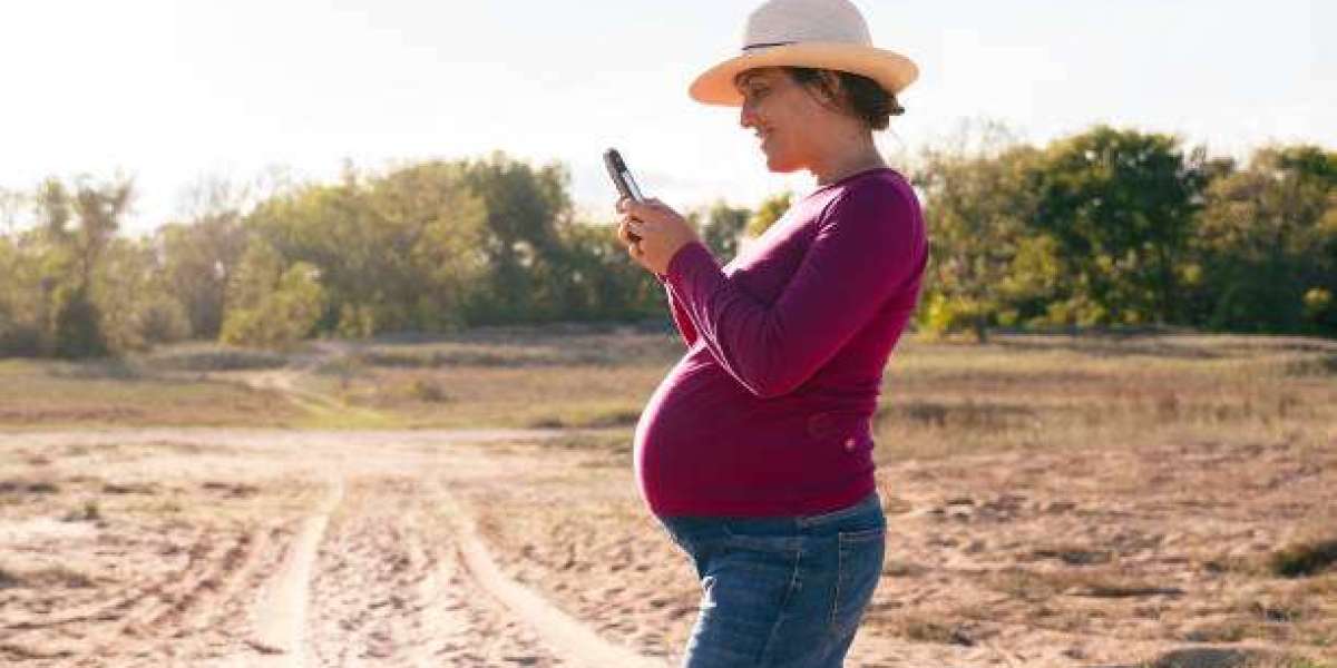 Future Growth Pathways in the Fertility Tourism Market Ecosystem