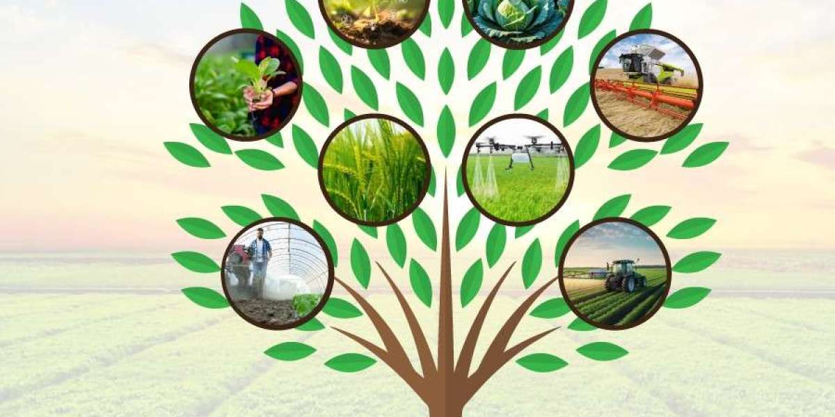 Future of Agriculture Sensing and Imagery Market Forecast Report