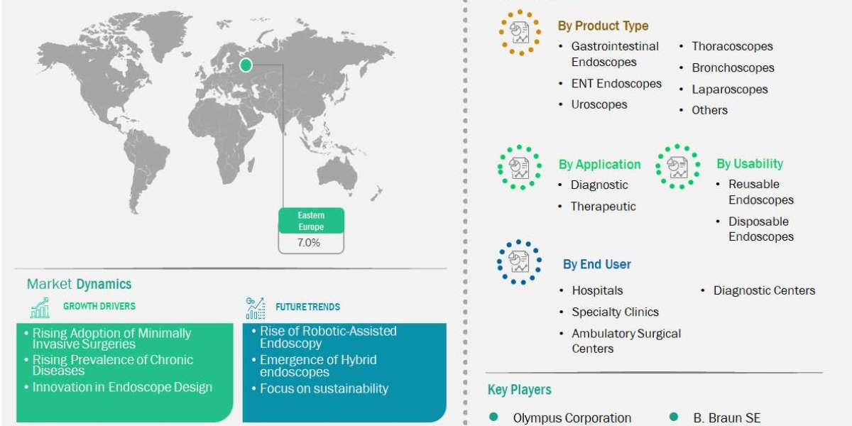 Eastern Europe Flexible Endoscopes Market Forecast Signals Strong Expansion Through 2031